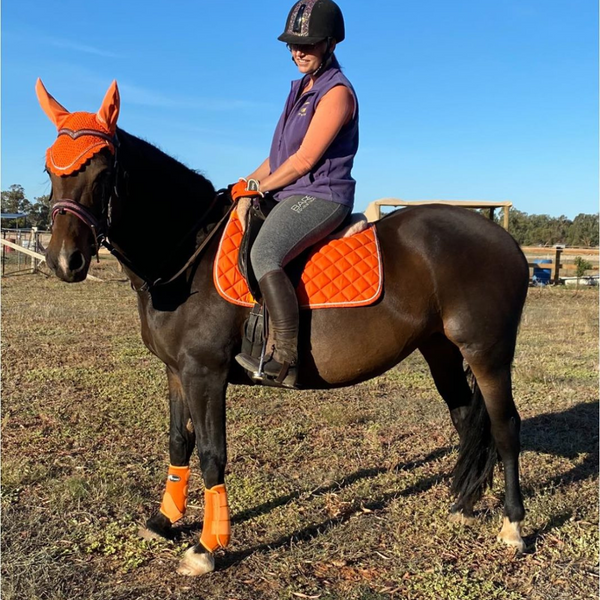 orange sport boots for horses