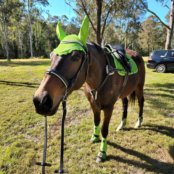 Lime Horse Sports Boots