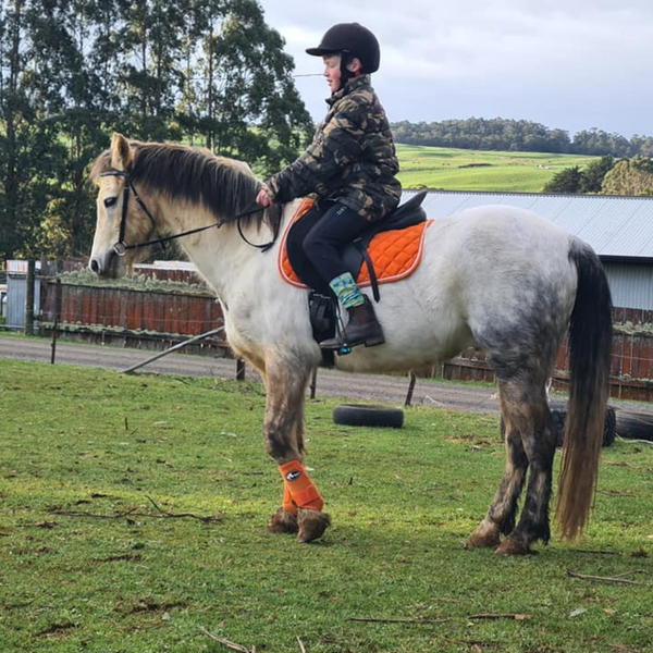 orange horse boots matchy