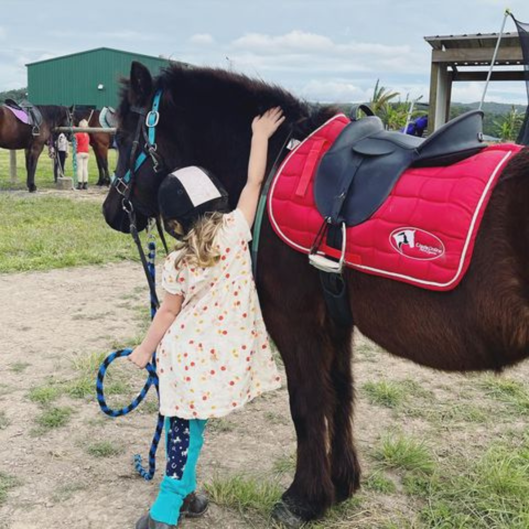 Red pony all purpose saddle pad