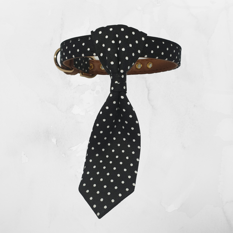 Tie Collar - Black Polka