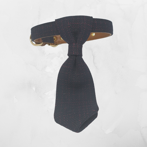 Tie Collar - Navy and Red
