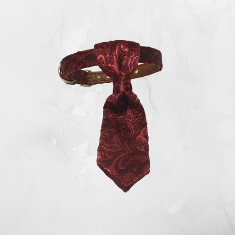 Tie Collar - Red Swirl