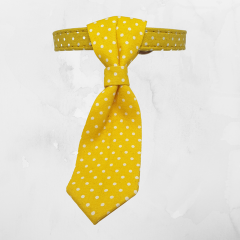 Tie Collar - Yellow Polka